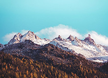 世界杯时差换算-阿夫迪亚18+6克林根14+11 开拓者送篮网四连败